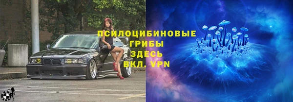 молекула духа Верхний Тагил