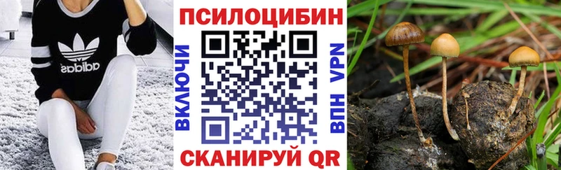 мега сайт  Нестеровская  Галлюциногенные грибы мухоморы 
